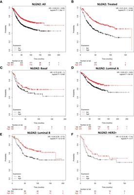 Clinical Relevance and Prognostic Value of the Neuronal Protein Neuroligin 2 in Breast Cancer